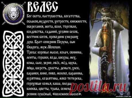 РАСА