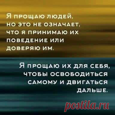 Сергей Шейн