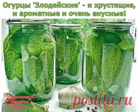 (49) Одноклассники