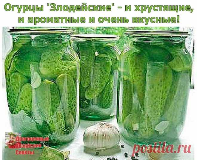(49) Одноклассники