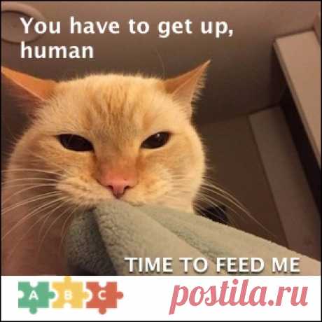 Почта Mail.Ru