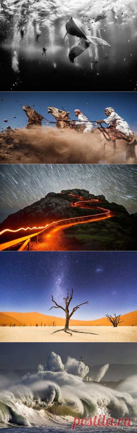 25 лучших фотографий National Geographic 2015