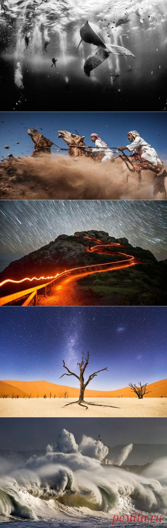 25 лучших фотографий National Geographic 2015