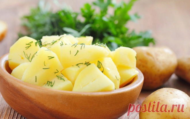 Картошка – наше все: самый любимый овощ русских и гарант продовольственной безопасности | Соло - путешествия | Яндекс Дзен