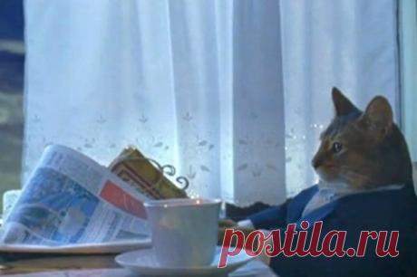 Любимое дело стимулирует Вас к получению новых знаний и вырабатывает стремление к профессиональному росту.