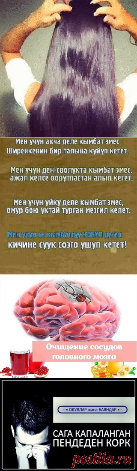 (49) Одноклассники