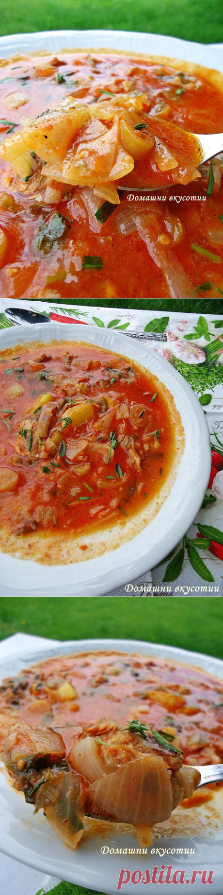 Лучена яхния с пилешко месо