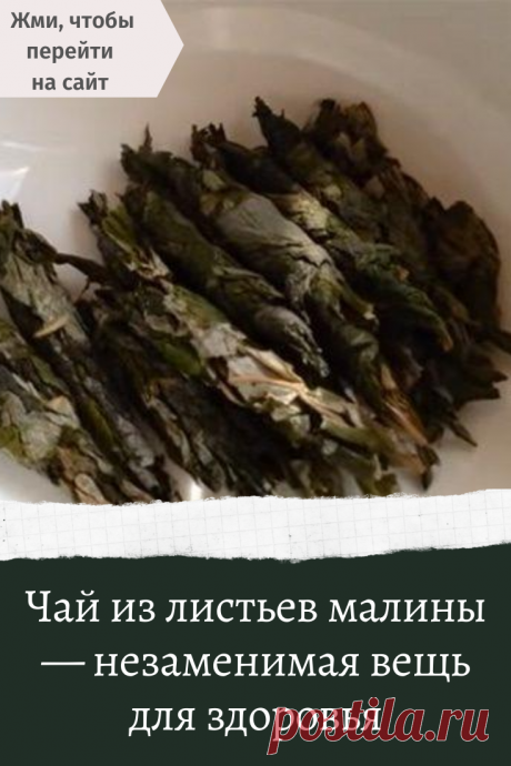Чай из листьев малины — незаменимая вещь для здоровья