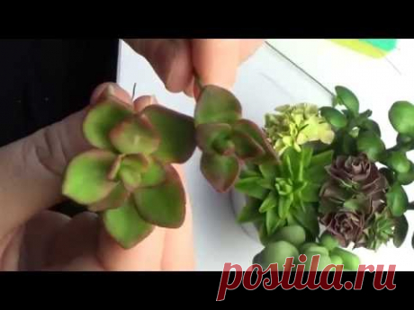 Вариации  на тему СУККУЛЕНТЫ из ХФ . МК от Риты. SUKKULENTEN - YouTube