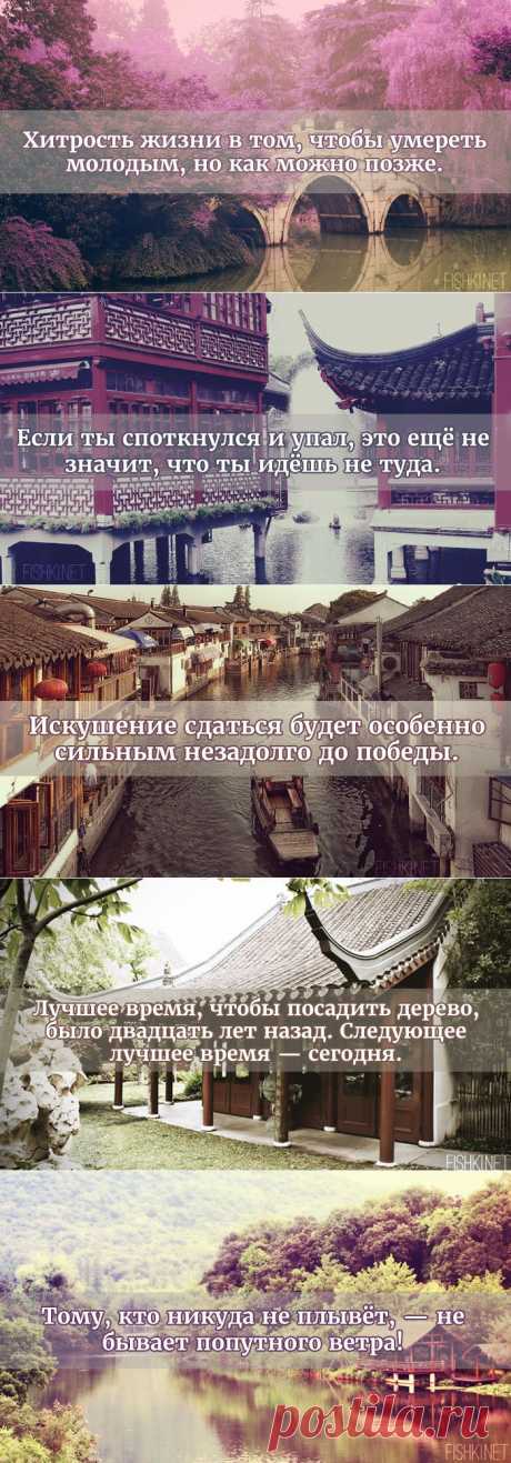 Самые полезные высказывания китайских мудрецов.