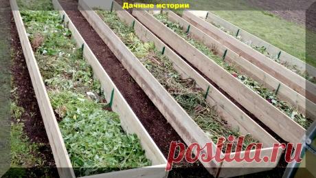 Узкие грядки -подсказка самой природы. Грамотное письмо нашего читателя | Дачные истории | Яндекс Дзен