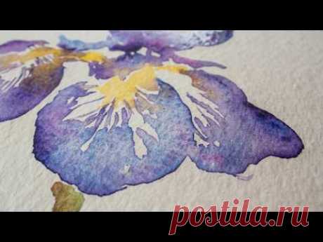 Paint an Iris flower in watercolor with Angela Fehr