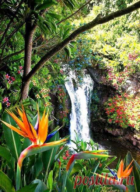  – Google+