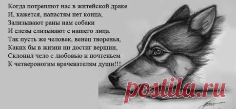 Вея Зоря