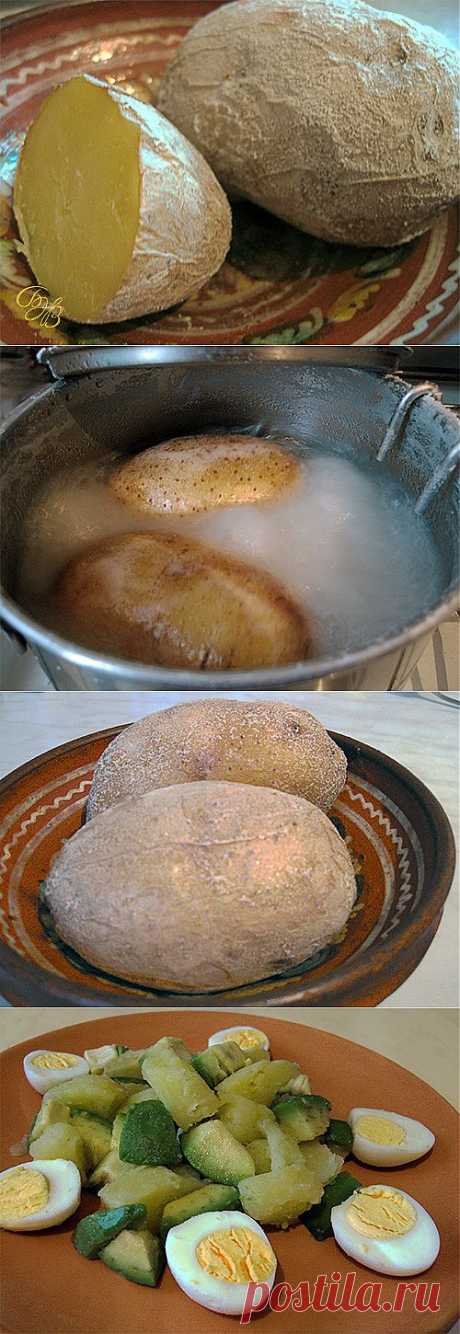 Картофель &quot;ФРАЙТ&quot;..
