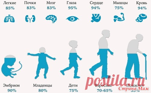 Ну наконец-то! Развеян миф об обязательных двух литрах воды в сутки - Страна Мам