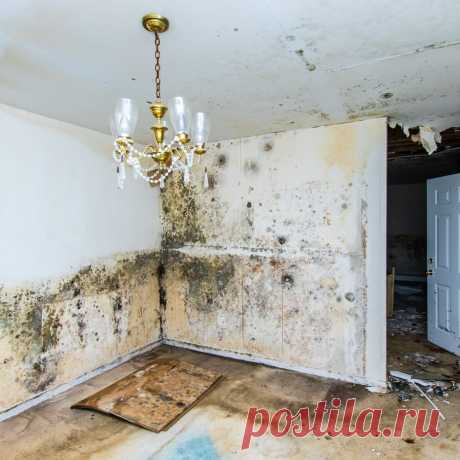 🧼 Клининговые услуги по уборке квартир, офисов, технических помещений
🔟 Большой опыт работ 🙇 Ответственность за порчу 💝 Приятные цены
🌍 Работаем по всей Москве и Московской области 📞 +7(969)022-34-60