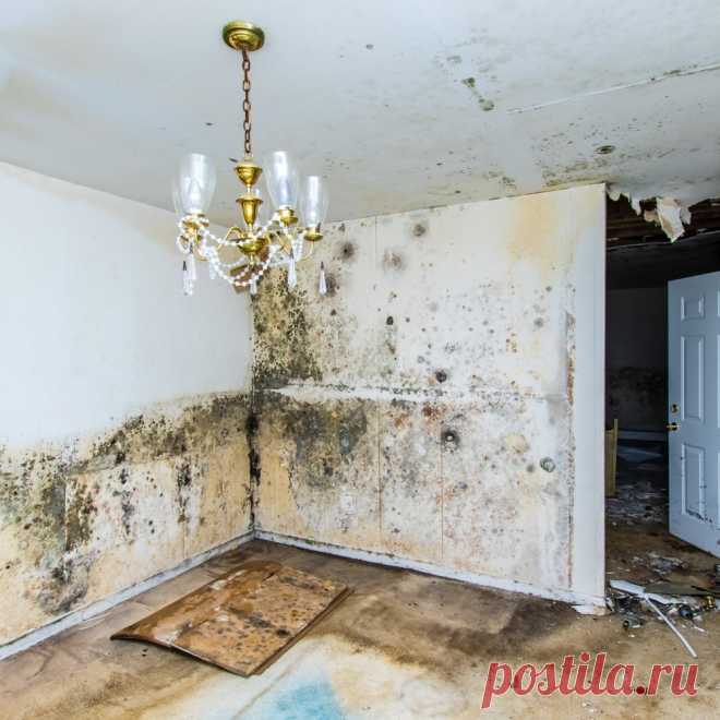 🧼 Клининговые услуги по уборке квартир, офисов, технических помещений
🔟 Большой опыт работ 🙇 Ответственность за порчу 💝 Приятные цены
🌍 Работаем по всей Москве и Московской области 📞 +7(969)022-34-60