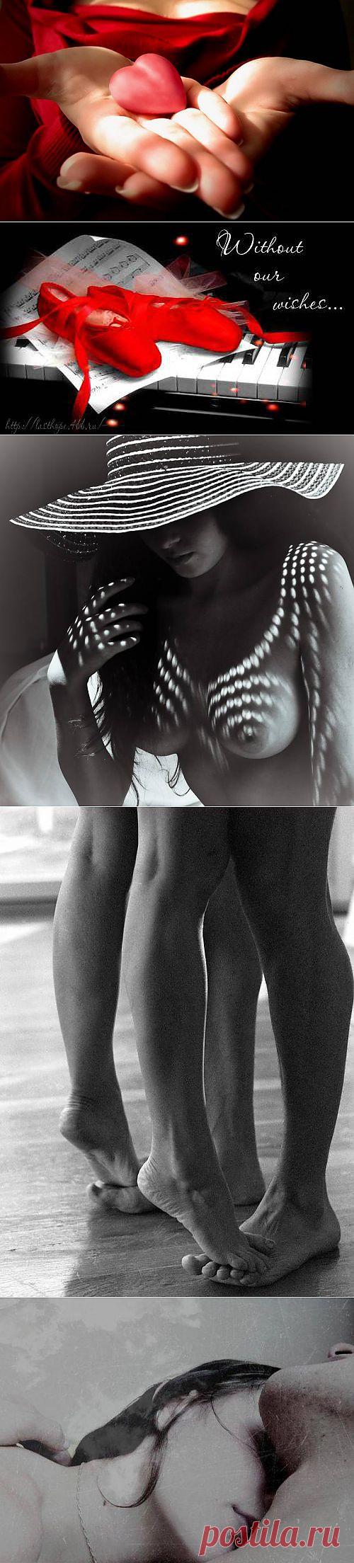 По щеке ее детской и бархатной, по глазам ее с грустью немыслимой. | МУЗА НАШЕГО ДВОРА