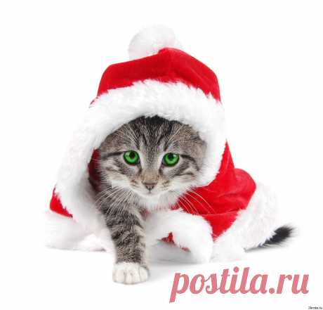C праздником!