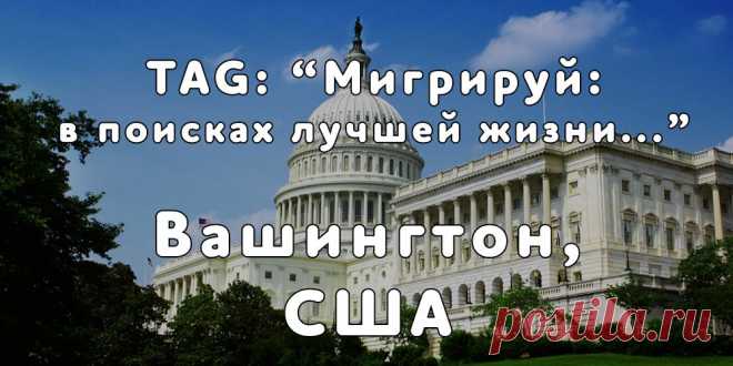 TAG: «Мигрируй в поисках лучшей жизни» в г. Вашингтон, США - Мигрируй