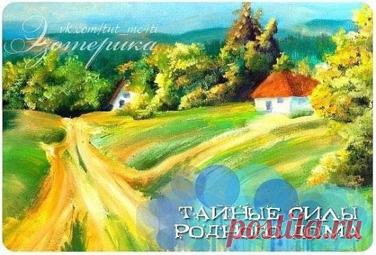 (33) Одноклассники