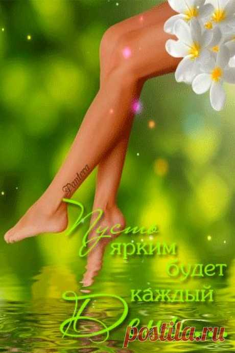 Мир анимации