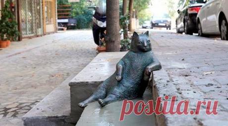 Томбили – памятник коту в Стамбуле)
