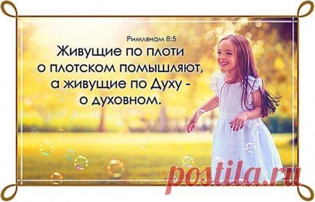 Фотоальбом «Мои фотографии» - Владимир, Санкт-Петербург, 51 год