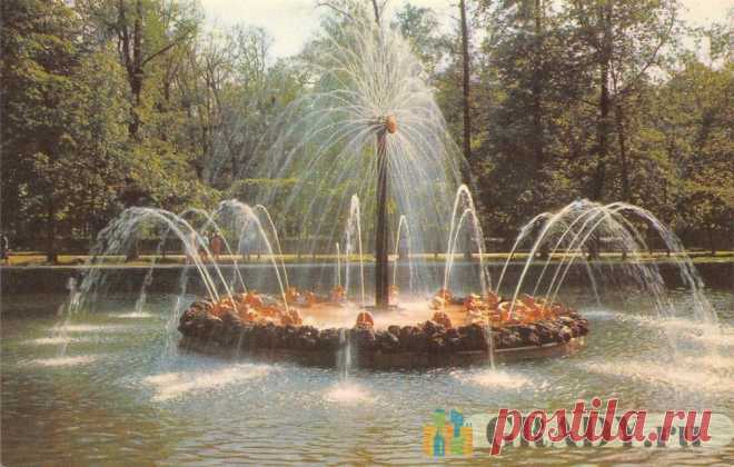Петергоф, Россия - Петродворец, фонтан Солнце - 1972 год (г587) | GRADY.ru