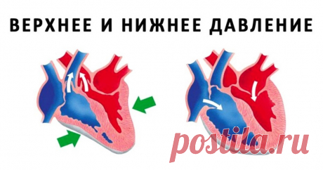 Разница между верхним и нижним давлением – все, что нужно знать Все, что нужно знать