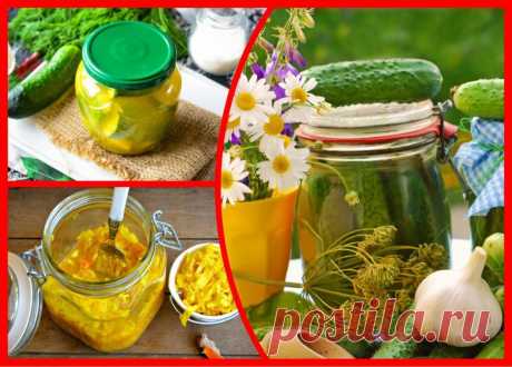 Несколько оригинальных рецептов огуречных закруток с куркумой
Популярнейшей специей, применяемой хозяйками в приготовлении различных блюд, является куркума. Благодаря этой индийской пряности пища приобретает пикантный вкус и красивый золотистый оттенок. Подходит куркума и для овощной консервации. Она прекрасно сочетается с огурцами. Засолка на зиму. Засолка на зиму. Зачем добавлять куркуму в...
Читай пост далее на сайте. Жми ⏫ссылку выше