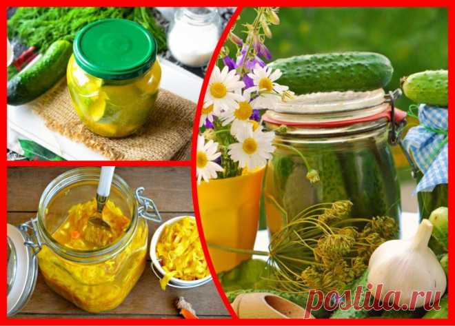 Несколько оригинальных рецептов огуречных закруток с куркумой
Популярнейшей специей, применяемой хозяйками в приготовлении различных блюд, является куркума. Благодаря этой индийской пряности пища приобретает пикантный вкус и красивый золотистый оттенок. Подходит куркума и для овощной консервации. Она прекрасно сочетается с огурцами. Засолка на зиму. Засолка на зиму. Зачем добавлять куркуму в...
Читай пост далее на сайте. Жми ⏫ссылку выше