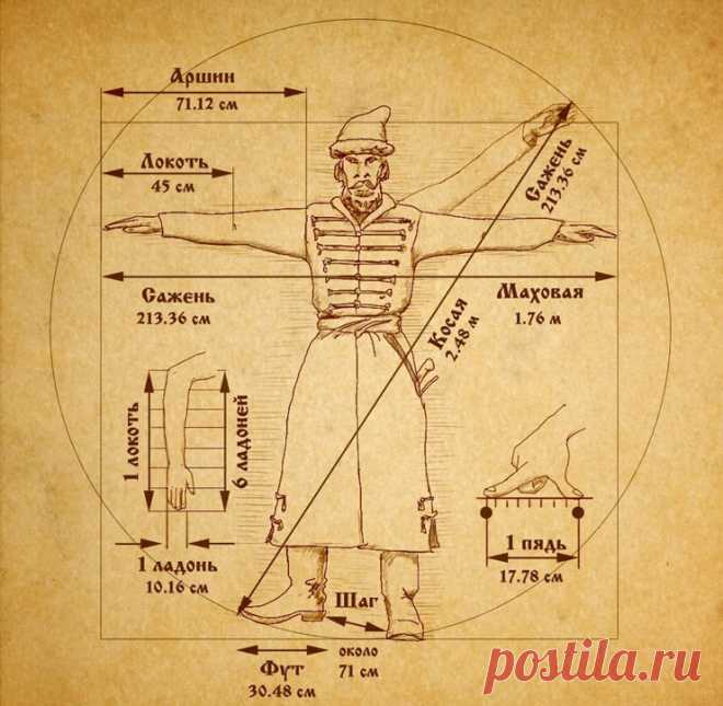 Косая сажень в плечах.