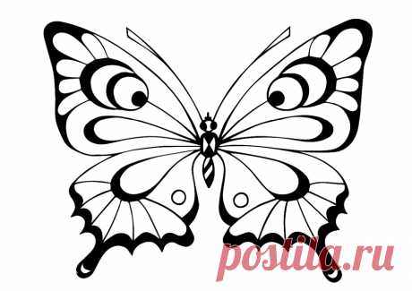 бабочки рисунок раскраска
