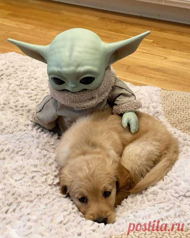 May the force be with you...
Да пребудет с вами сила...