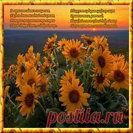 Музыкальные Открытки