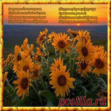 Музыкальные Открытки