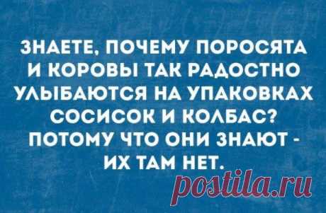 15 самых интересных смешных и не очень коротких жизненных историй с просторов интернета