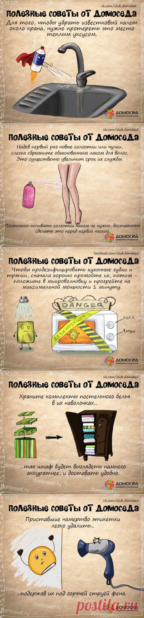 Полезные советы от Домоседа - хозяйство