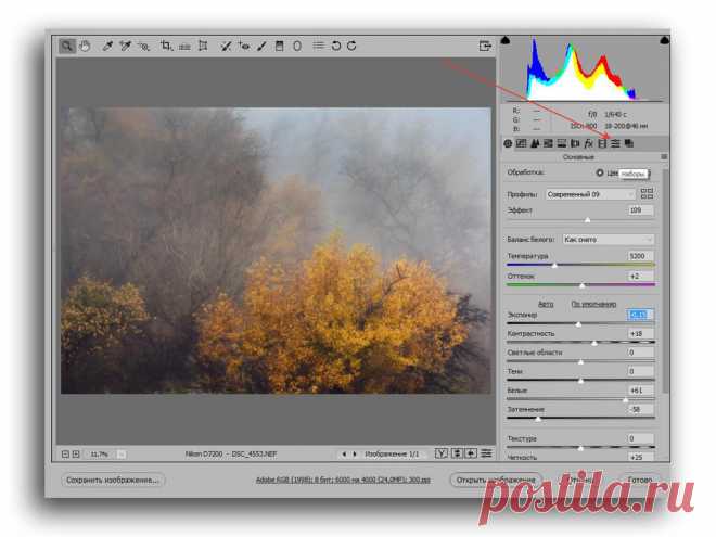 Бесплатные пресеты для адоб камера РАВ