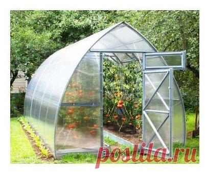 Купить Теплица Воля Дачная-Стрелка 3.0 240х300см по выгодной цене на Яндекс.Маркете Теплица Воля Дачная-Стрелка 3.0 240х300см — купить сегодня c доставкой и гарантией по выгодной цене. 5 предложений в проверенных магазинах. Теплица Воля Дачная-Стрелка 3.0 240х300см: характеристики, фото, магазины поблизости на карте. Достоинства и недостатки модели — Теплица Воля Дачная-Стрелка 3.0 240х300см в отзывах покупателей, обзорах, видео и обсуждениях.