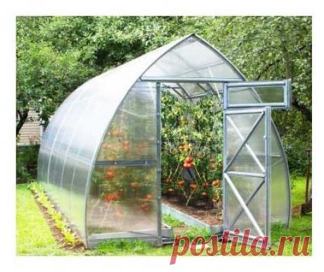 Купить Теплица Воля Дачная-Стрелка 3.0 240х300см по выгодной цене на Яндекс.Маркете Теплица Воля Дачная-Стрелка 3.0 240х300см — купить сегодня c доставкой и гарантией по выгодной цене. 5 предложений в проверенных магазинах. Теплица Воля Дачная-Стрелка 3.0 240х300см: характеристики, фото, магазины поблизости на карте. Достоинства и недостатки модели — Теплица Воля Дачная-Стрелка 3.0 240х300см в отзывах покупателей, обзорах, видео и обсуждениях.