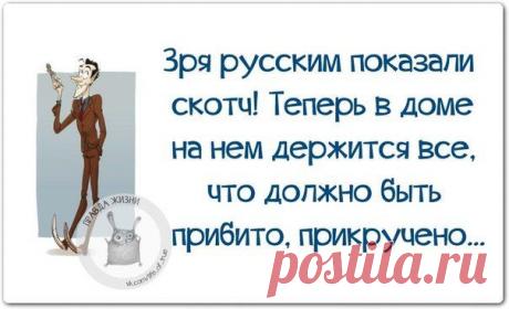 ПРИКОЛЬНЫЕ КАРТИНКИ С ПОЗИТИВНЫМИ ФРАЗКАМИ | Сайт Союза Юмористов