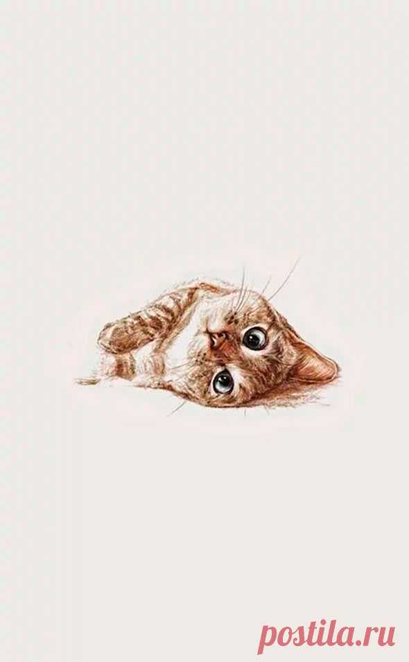 Самые милые нарисованные котики