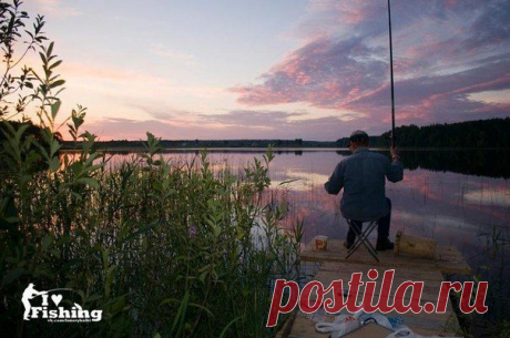 Ловля плотвы летом / Богатая добыча