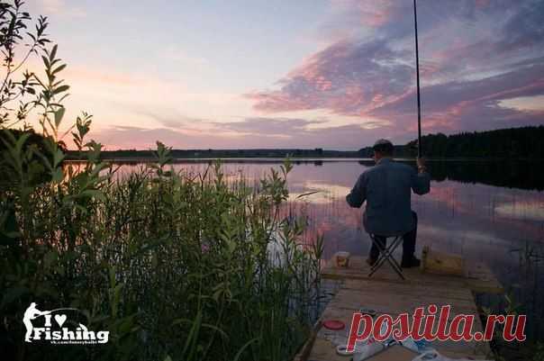 Ловля плотвы летом / Богатая добыча