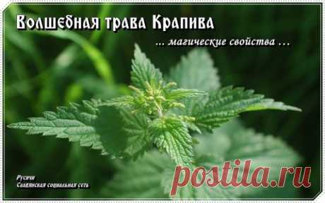 (77) Одноклассники