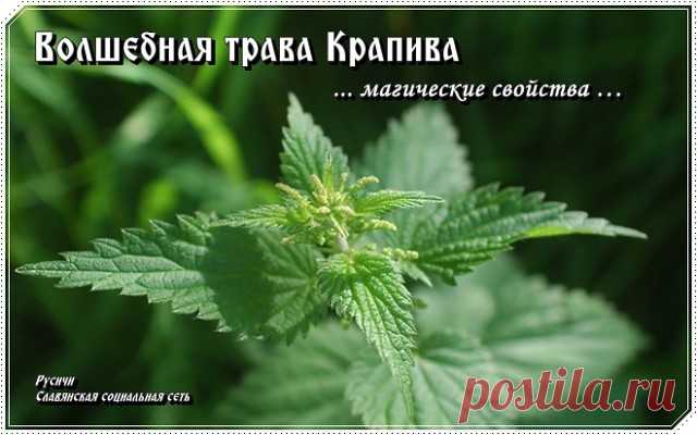 (77) Одноклассники