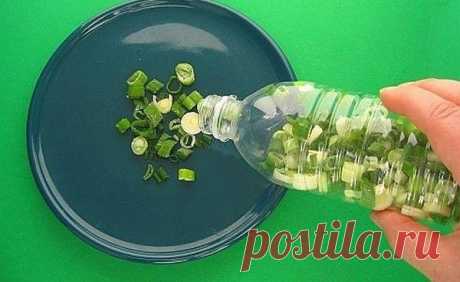 (4) Одноклассники